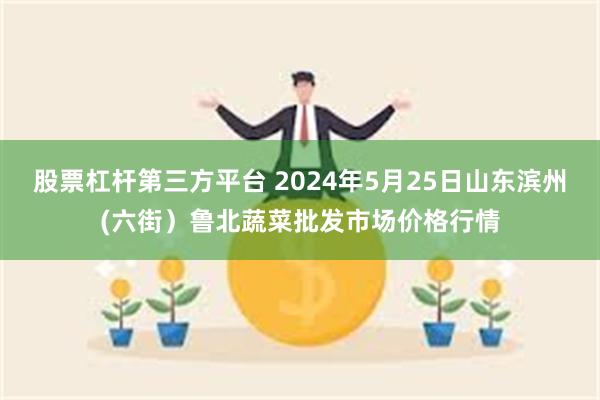 股票杠杆第三方平台 2024年5月25日山东滨州(六街）鲁北蔬菜批发市场价格行情