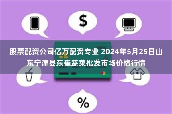 股票配资公司亿万配资专业 2024年5月25日山东宁津县东崔蔬菜批发市场价格行情