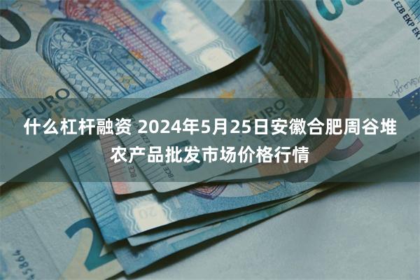 什么杠杆融资 2024年5月25日安徽合肥周谷堆农产品批发市场价格行情