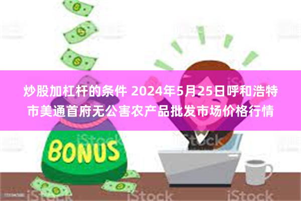 炒股加杠杆的条件 2024年5月25日呼和浩特市美通首府无公害农产品批发市场价格行情