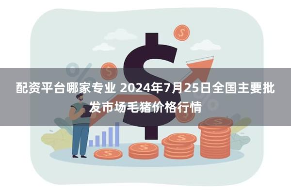 配资平台哪家专业 2024年7月25日全国主要批发市场毛猪价格行情