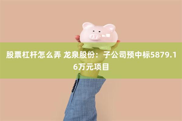 股票杠杆怎么弄 龙泉股份：子公司预中标5879.16万元项目