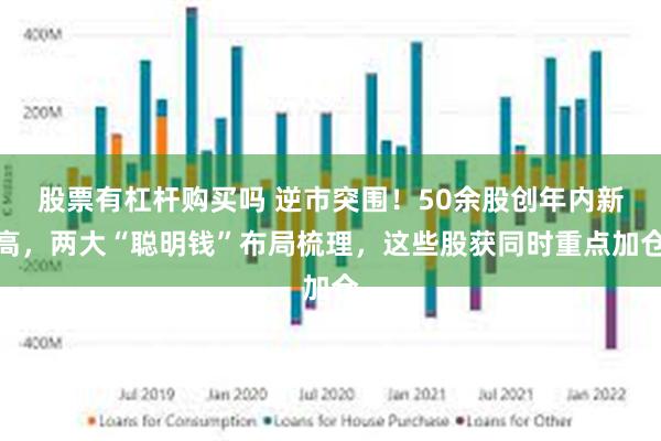 股票有杠杆购买吗 逆市突围！50余股创年内新高，两大“聪明钱”布局梳理，这些股获同时重点加仓