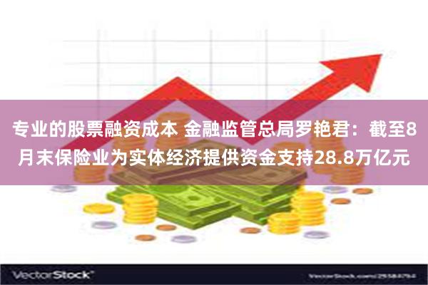 专业的股票融资成本 金融监管总局罗艳君：截至8月末保险业为实体经济提供资金支持28.8万亿元