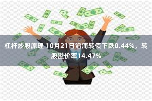 杠杆炒股原理 10月21日沿浦转债下跌0.44%，转股溢价率14.47%