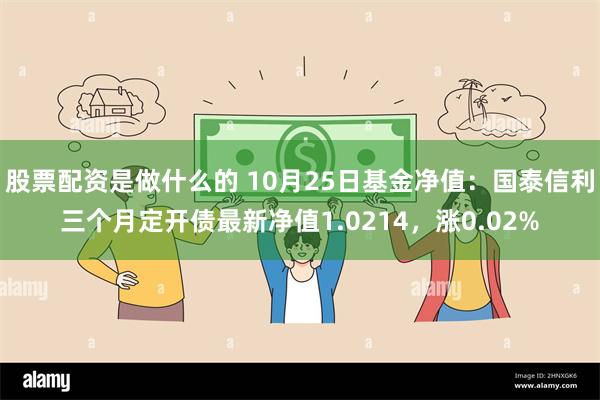 股票配资是做什么的 10月25日基金净值：国泰信利三个月定开债最新净值1.0214，涨0.02%