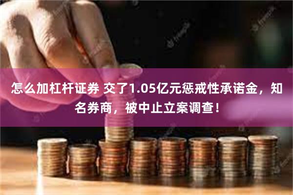 怎么加杠杆证券 交了1.05亿元惩戒性承诺金，知名券商，被中止立案调查！