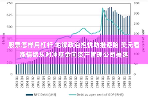 股票怎样用杠杆 地缘政治担忧助推避险 美元看涨情绪从对冲基金向资产管理公司蔓延