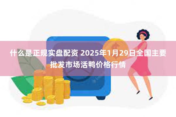 什么是正规实盘配资 2025年1月29日全国主要批发市场活鸭价格行情