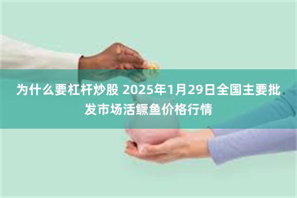 为什么要杠杆炒股 2025年1月29日全国主要批发市场活鳜鱼价格行情