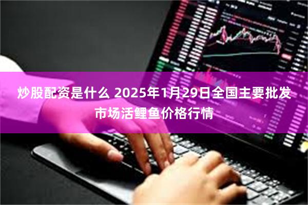 炒股配资是什么 2025年1月29日全国主要批发市场活鲤鱼价格行情