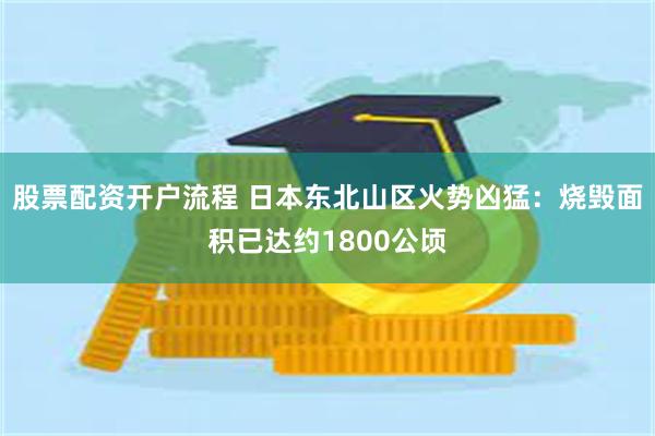 股票配资开户流程 日本东北山区火势凶猛：烧毁面积已达约1800公顷