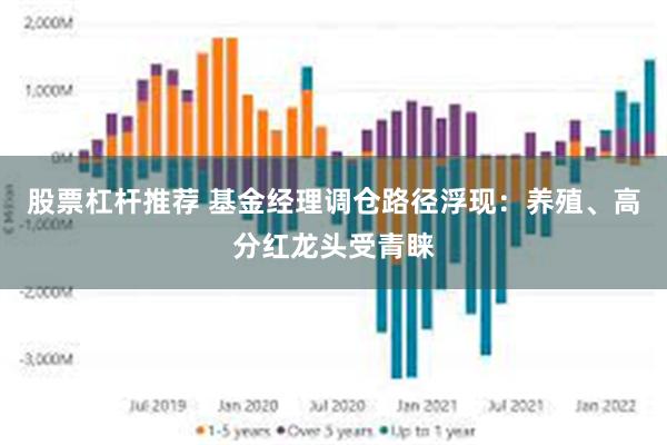 股票杠杆推荐 基金经理调仓路径浮现：养殖、高分红龙头受青睐